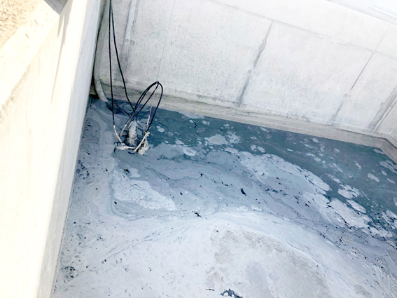 德国汉堡 预拌混凝土厂废水再利用建设工程