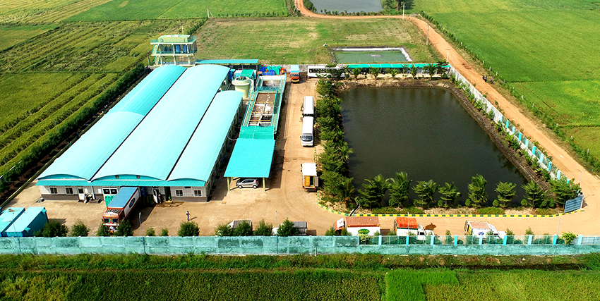 印度安得拉邦 食品加工厂污物泵浦汰旧换新 印度安得拉邦 食品加工厂污物泵浦汰旧换新