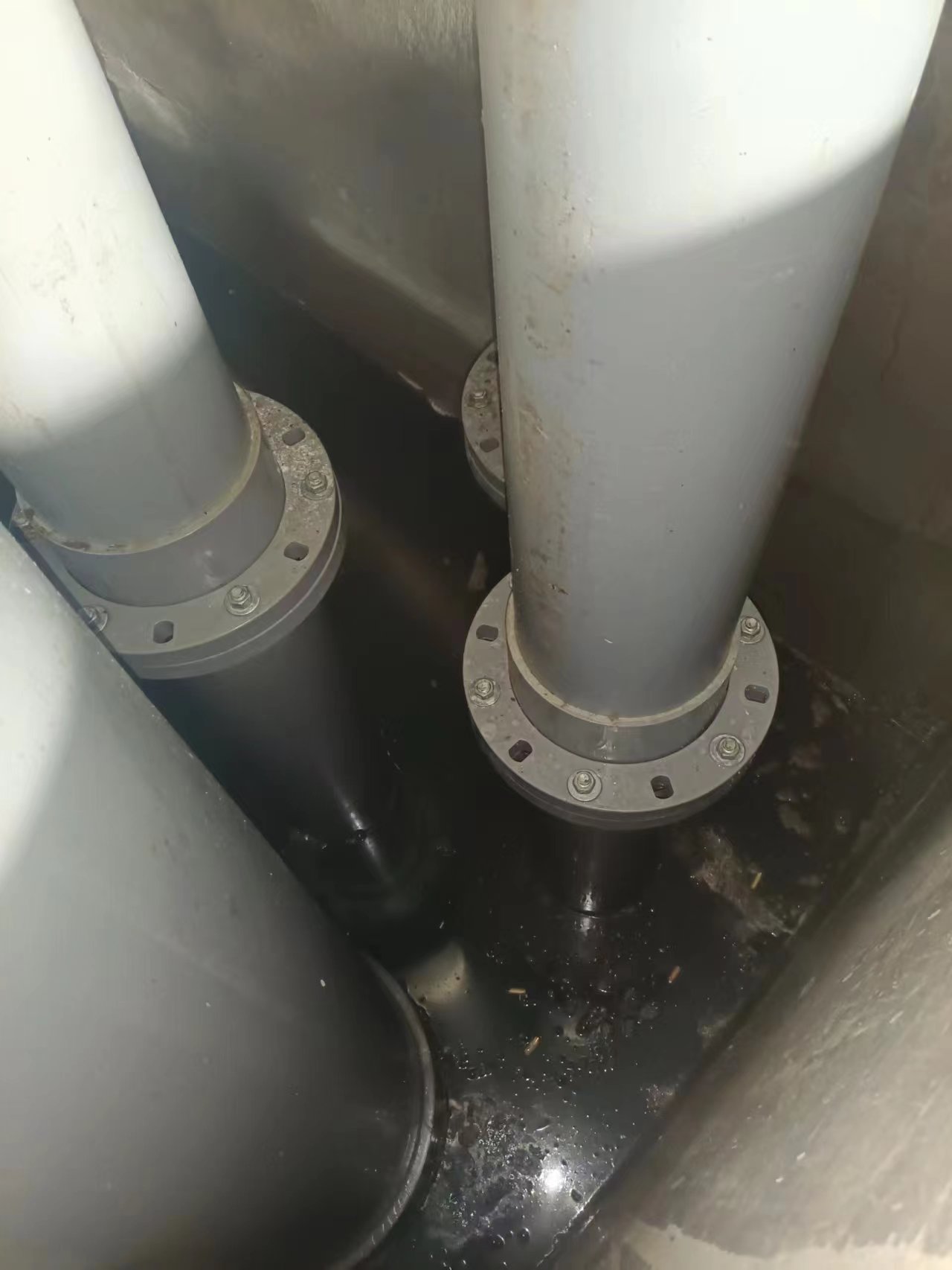 中国东港 日照市海水养殖项目