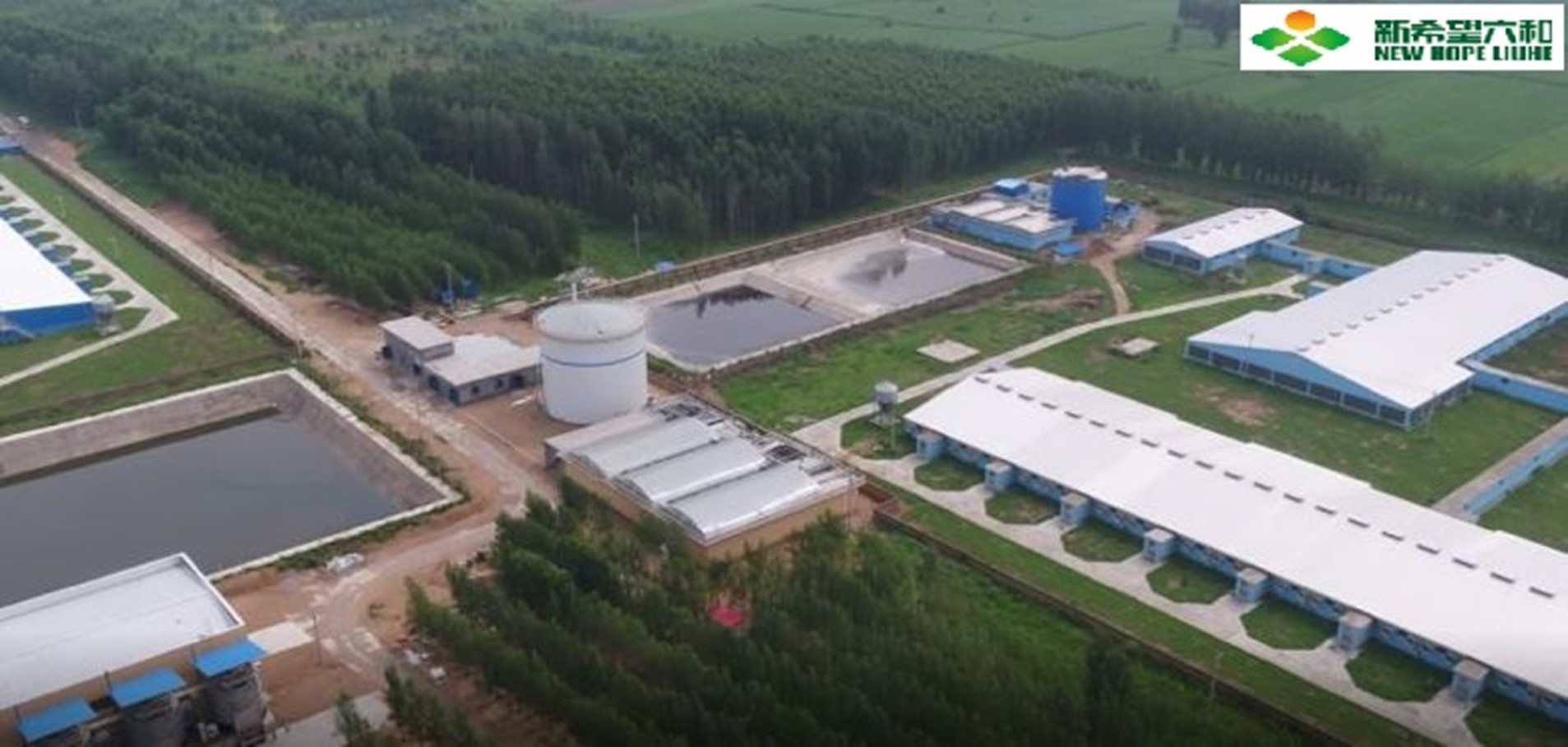 中国山东 新希望六和东港污水处理工程